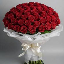 Букет 101 Красная роза Блэк Мэджик в Старомышастовской