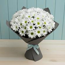 Букет цветов из:  Хризантемы #REPLACE_PRED# Старомышастовской