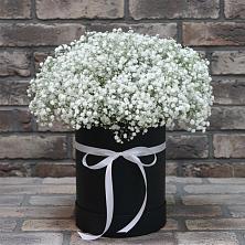 Цветочная композиция из Гипсофила в шляпной коробке в Старомышастовской