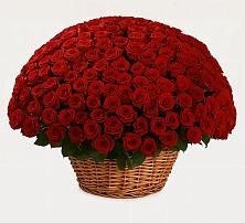 Премиум букет из: Розы в Старомышастовской