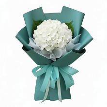 Букет цветов из:  Гортензия #REPLACE_PRED# Старомышастовской